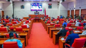 Nigerian Senate Committee Reshuffle: Security, Air Force, and Livestock Leadership Changes