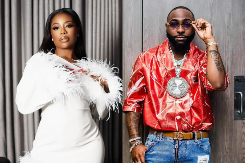 'Stop calling me Davido's wife' - Sophia Momodu warns fans