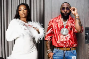 'Stop calling me Davido's wife' - Sophia Momodu warns fans