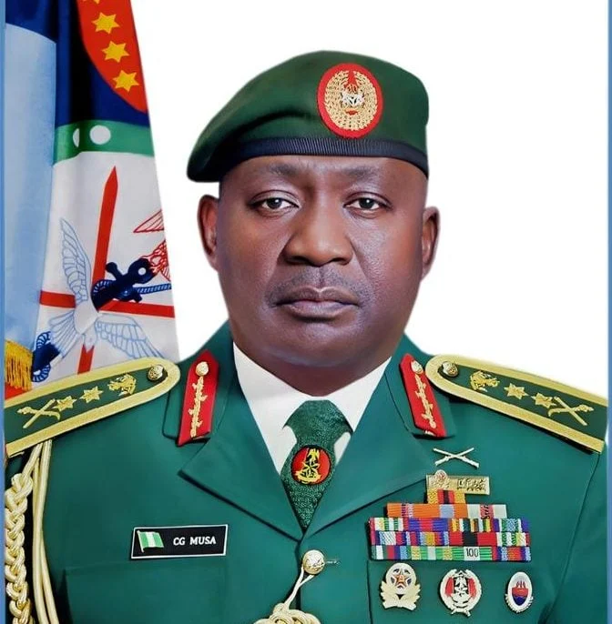 Nigeria's New Defence Minister: Right Person, Right Time... or Something Else?